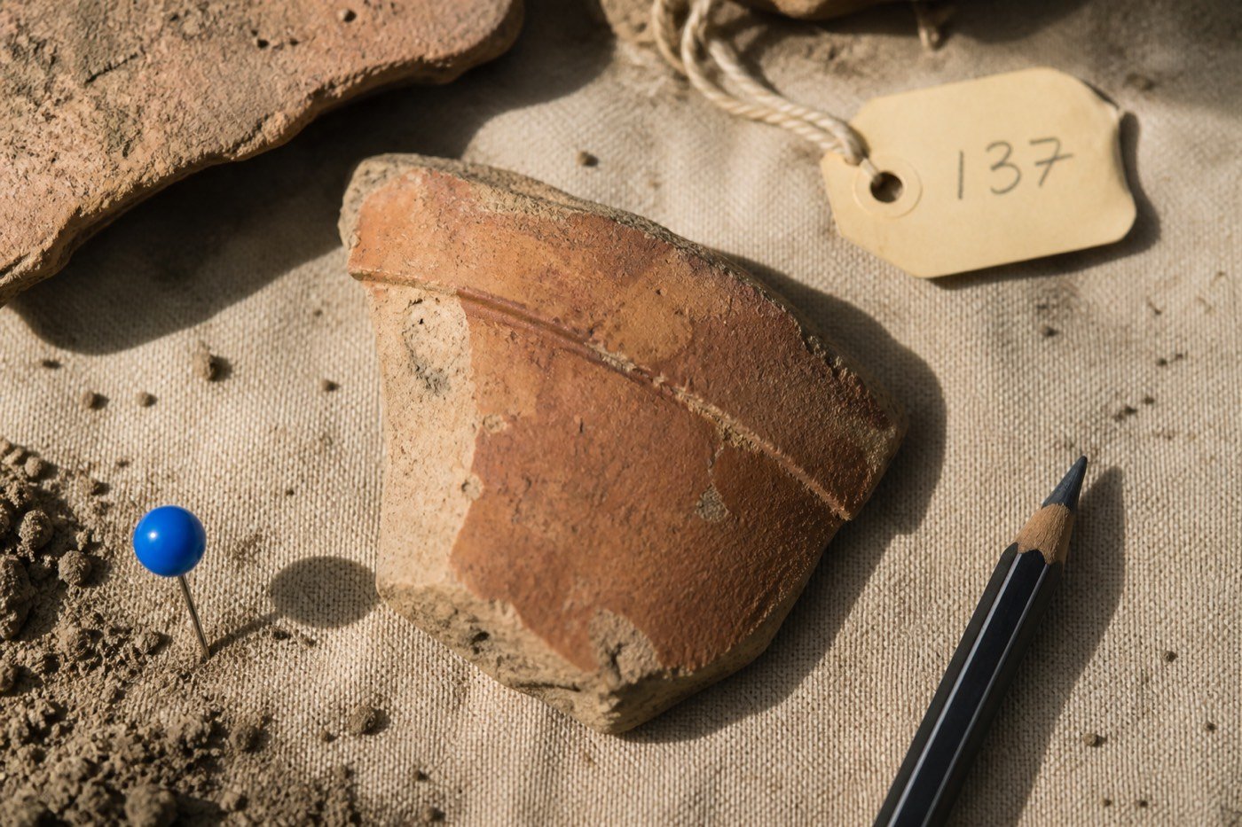 Terracotta shard fragments tagged on field canvas